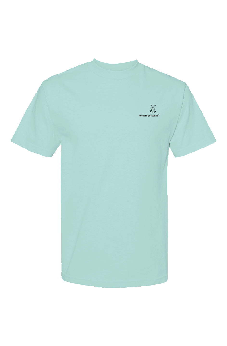 RememberWhen? Classic Streetwear T Shirt Celadon