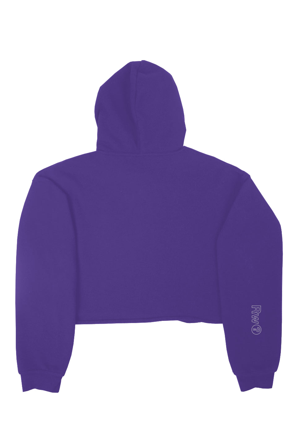 RememberWhen? Big Bear crop fleece hoodie Team (ro