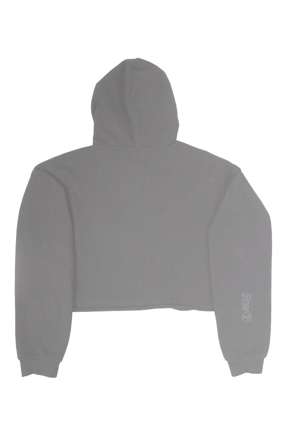 RememberWhen? Big Bear crop fleece hoodie Storm