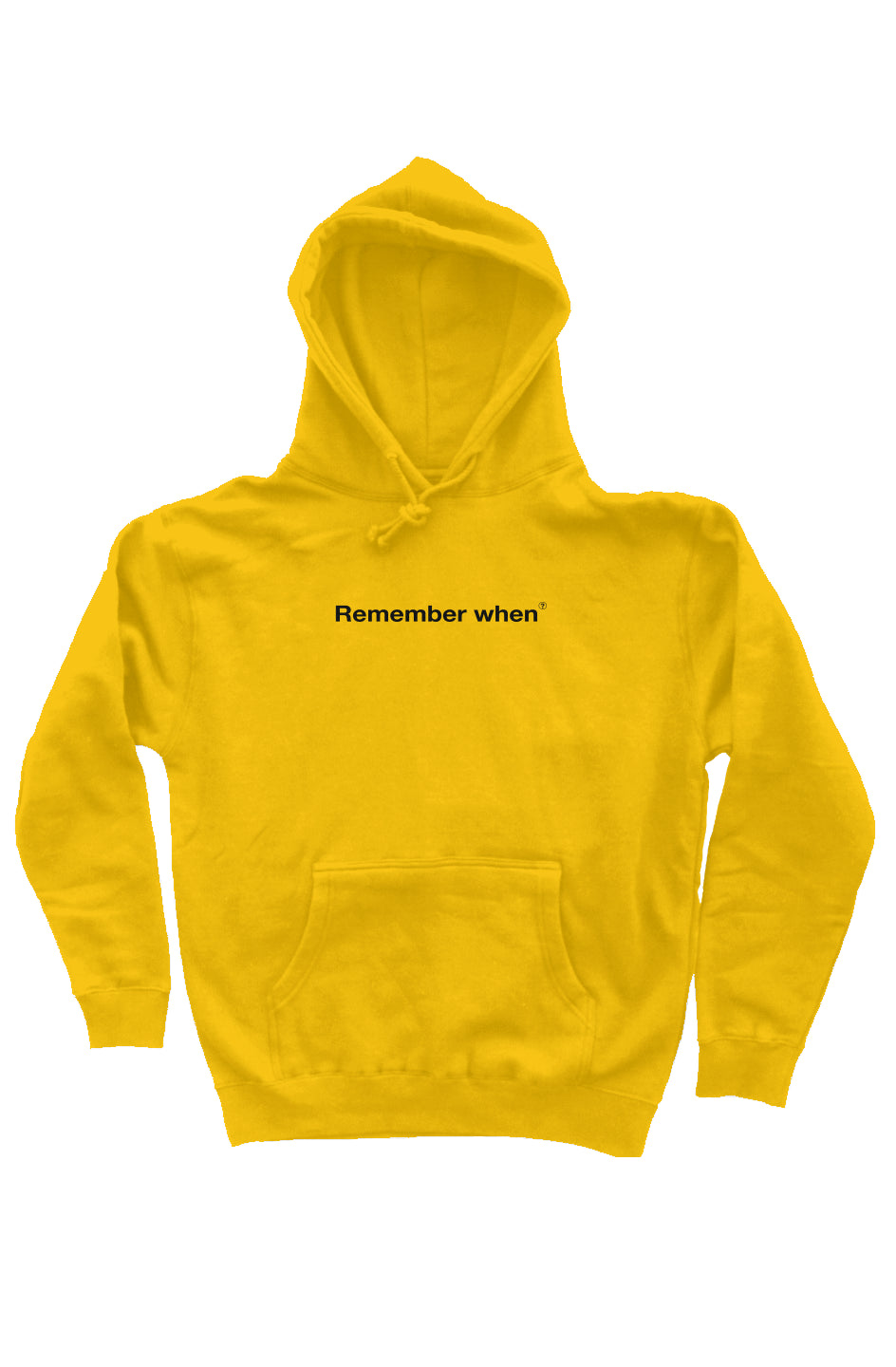 RememberWhen? Remember when Hoodie Gold